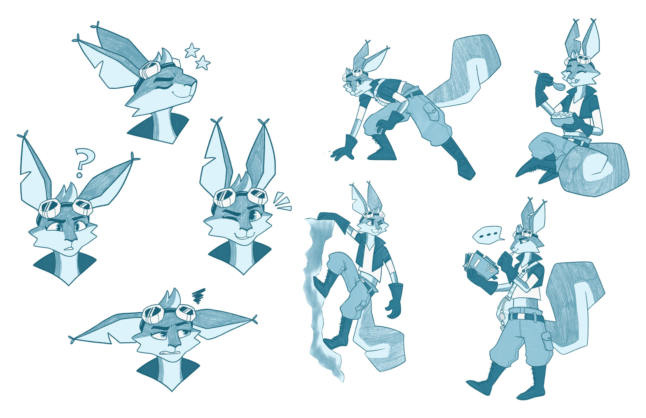Expression and Pose Variations